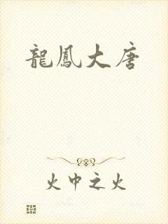 龙凤大唐