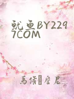 鱿鱼BY2297COM