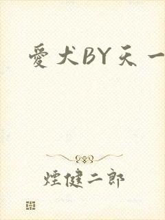 爱犬BY天一
