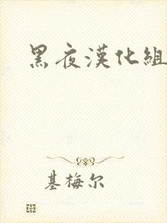 黑夜汉化组