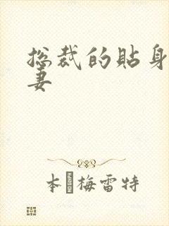 总裁的贴身下堂妻