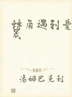 转角遇到爱 李晟