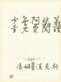 少年阿斌第13章免费阅读