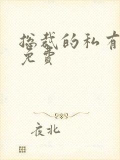 总裁的私有宝贝免费