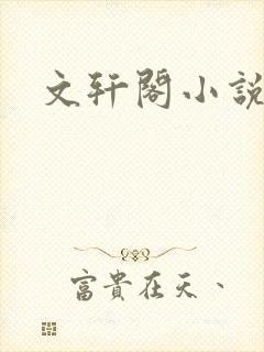 文轩阁小说网