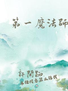 第一魔法师