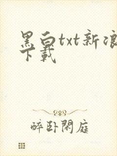 黑白txt新浪下载
