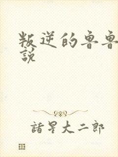 叛逆的鲁鲁修小说