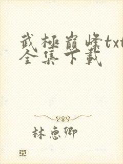 武极巅峰txt全集下载