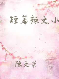 短篇辣文小说