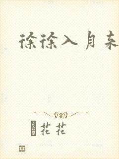 徐徐入月来