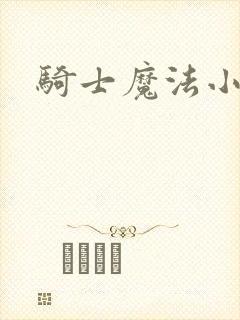 骑士魔法小说