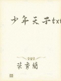 少年天子txt