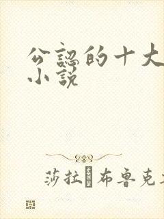 公认的十大虐心小说