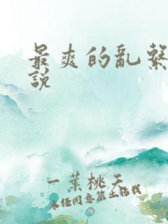 最爽的乱系列小说