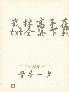 武林高手在异世txt全集下载
