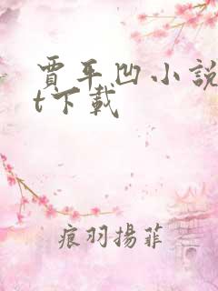 贾平凹小说txt下载