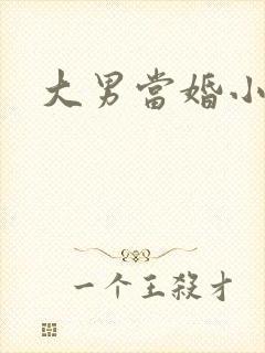 大男当婚小说