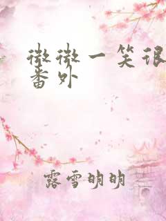 微微一笑很倾城番外