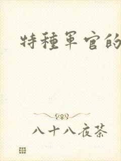 特种军官的宠妻