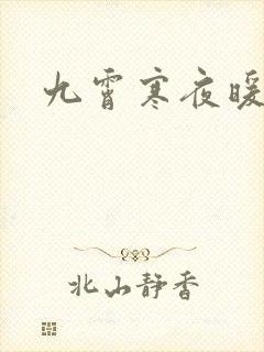 九霄寒夜暖小说