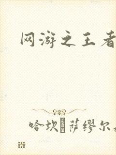 网游之王者天下