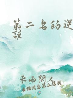 第二名的逆袭小说