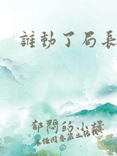 谁动了局长夫人