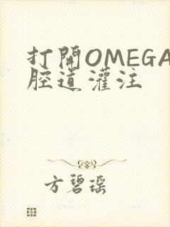 打开OMEGA腔道灌注