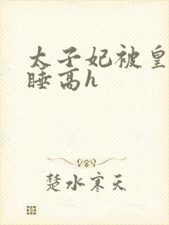 太子妃被皇上强睡高h