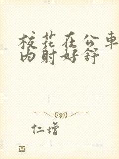 校花在公车上被内射好舒