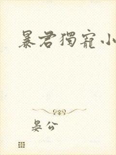 暴君独宠小俏后