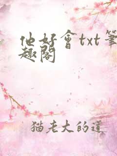 他好会txt笔趣阁
