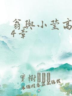 翁与小莹高潮24章