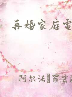 再婚家庭电视剧