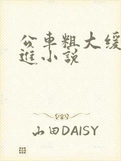 公车粗大缓缓挤进小说
