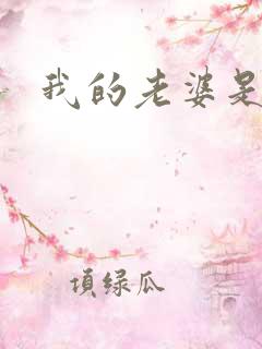 我的老婆是火影