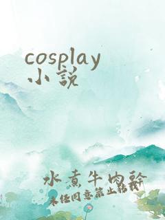 cosplay小说