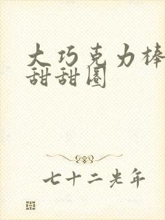 大巧克力棒c小甜甜圈