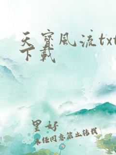 天宝风流txt下载