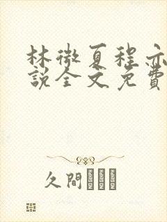 林微夏程亦风小说全文免费