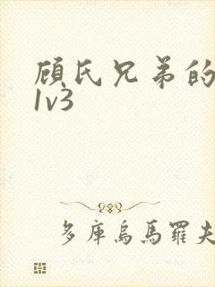 顾氏兄弟的南宁1v3