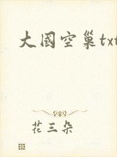 大国空巢txt
