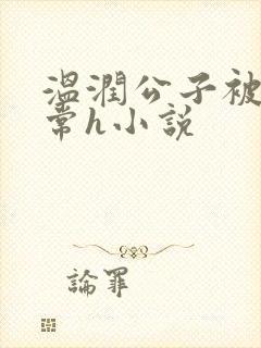 温润公子被脔日常h小说