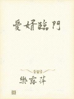 爱婿临门