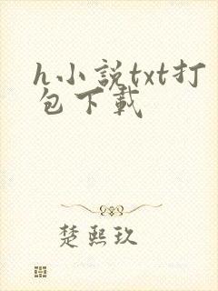 h小说txt打包下载