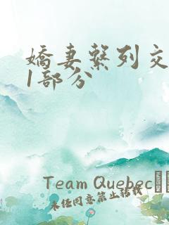 娇妻系列交换11部分