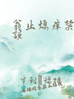 翁止熄痒禁伦小说