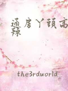 通房丫头高h肉辣