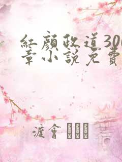 红颜政道300章小说免费阅读